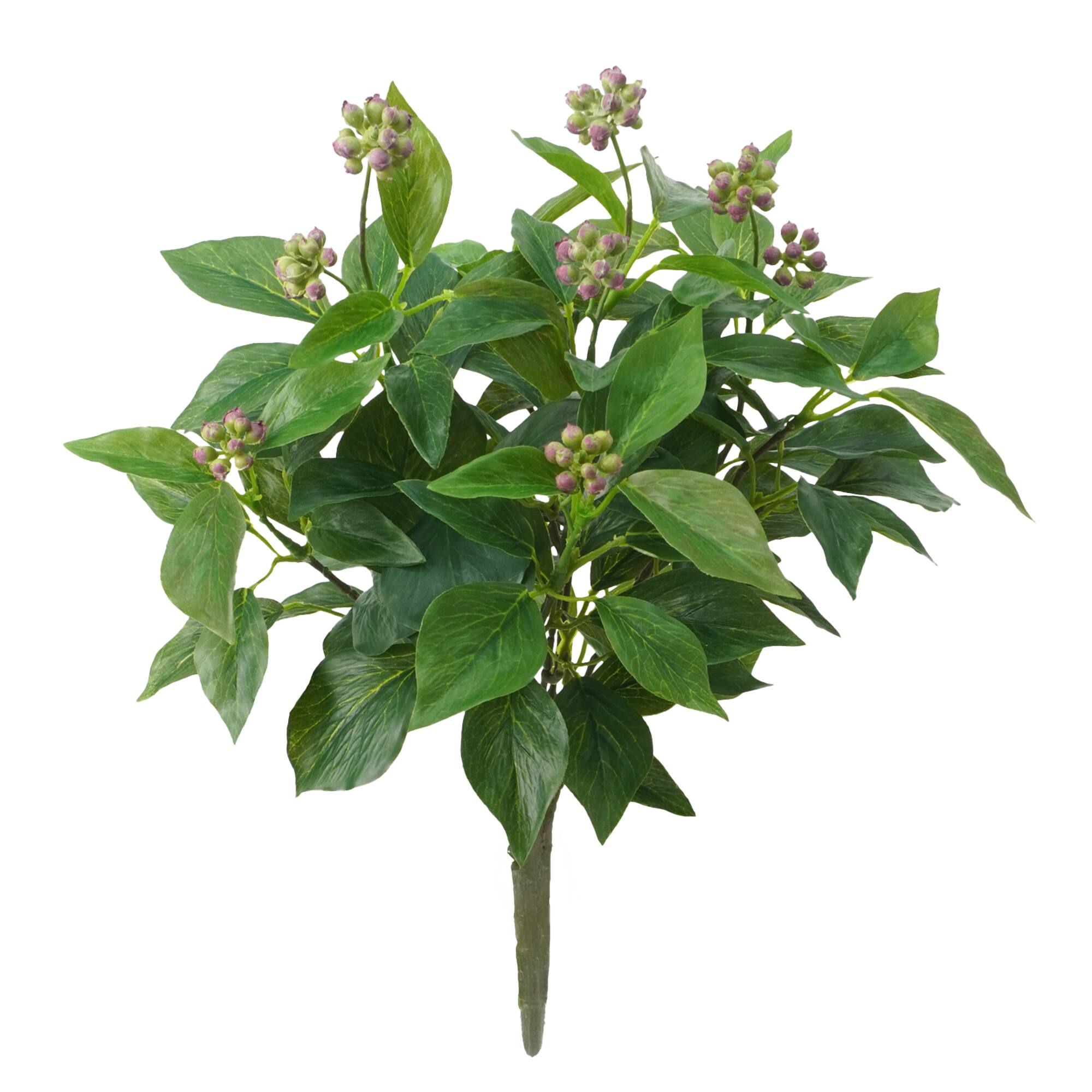 17" Fruiting Ivy Busy by Ashland®